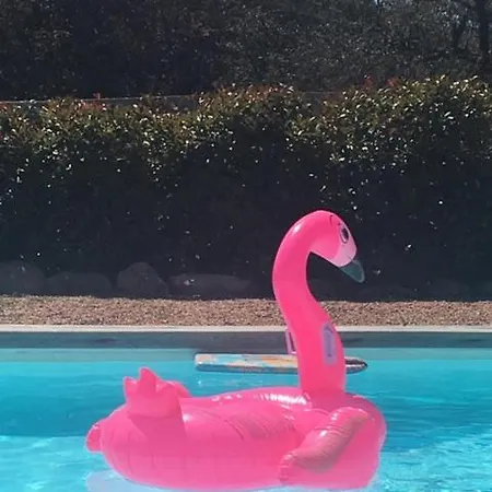 Proche Des Plages Daire Porto-Vecchio (Corsica)