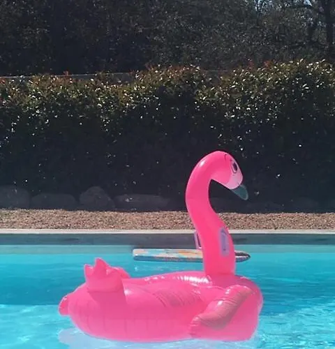 Proche Des Plages 公寓 维琪奥港